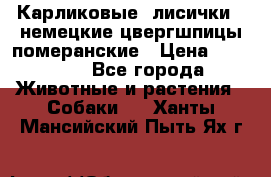 Карликовые “лисички“  немецкие цвергшпицы/померанские › Цена ­ 35 000 - Все города Животные и растения » Собаки   . Ханты-Мансийский,Пыть-Ях г.